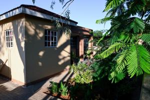a small white building with a tree next to it at Luxe Residence Guest House in Kasane