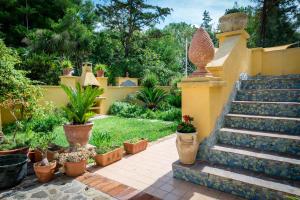 Zahrada ubytování Hotel Villa Rita