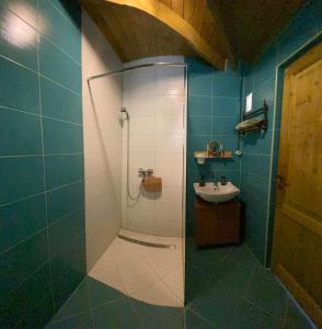 a bathroom with a shower and a sink at Colonia Natura Apartmanpark in Sitke