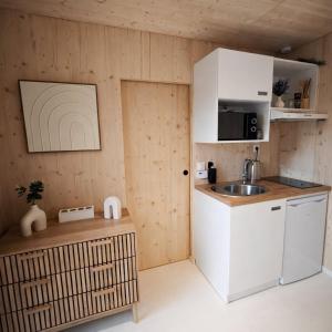 a small kitchen with a sink and a microwave at Tiny House Eole - Proche Issoudun, Safran, Rwe - Zone artisanale in Saint-Georges-sur-Arnon