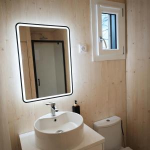 a bathroom with a sink and a mirror and a toilet at Tiny House Eole - Proche Issoudun, Safran, Rwe - Zone artisanale in Saint-Georges-sur-Arnon +7 photos