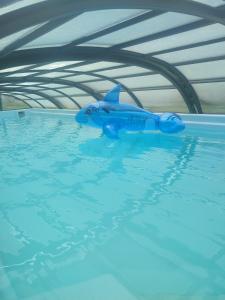 a toy shark is sitting in the water at Domek z kominkiem i jacuzzi in Łobozew