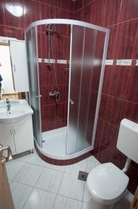a bathroom with a shower with a toilet and a sink at Apartmani Ivo 2 in Podstrana +10 photos