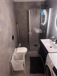 a bathroom with a shower and a toilet and a sink at Modern Flat In Flateby, Enebakk in Flateby +6 photos