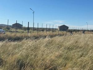 a field of tall grass with a fence at Kwagae farm in Kuruman