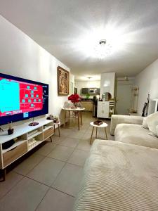 a living room with a large flat screen tv at Chambre privée chez habitant à Sète in Sète