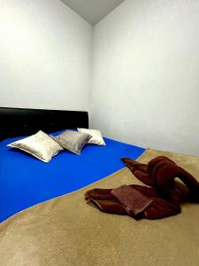 a bedroom with a blue bed with two pillows at Chambre privée chez habitant à Sète in Sète