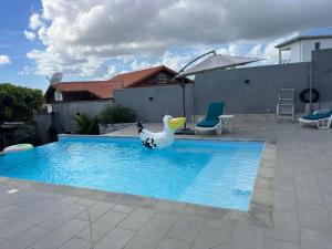 a plastic duck in the middle of a swimming pool at Appartement Acajou Pool & Serenity in Le Lamentin