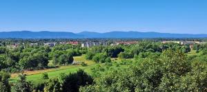 a view of a park with trees and buildings at Green apartament 21 in Oświęcim