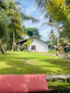 a red bench in front of a house with palm trees at Hikka Magnoon Villa in Hikkaduwa +3 photos