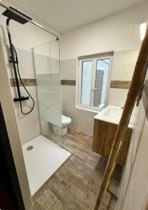 a bathroom with a shower and a sink at MAZET en CAMPAGNE in Arles