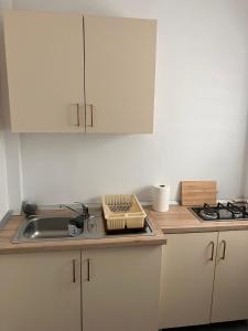 a kitchen with a sink and a counter top at Garsoniera Goldis in Arad