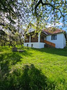 a house on a hill with a green yard at Kakasvári Vendégház in Gömörszőlős
