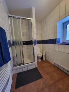 a bathroom with a shower and a toilet at Chalupa U Bertholda in Červená Voda +50 photos