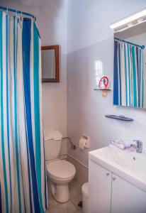 a bathroom with a toilet and a sink and a shower curtain at Sea View Traditional Villa in Vourvourou