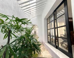 a room with a plant and a window at The Colombo House in Battaramulla