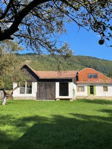 a house with a green lawn in front of it at Doftana 609 in Trăisteni