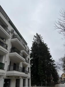 a white building with a tree in front of it at Maya 2 apartman sa dve spavace sobe in Vrnjačka Banja