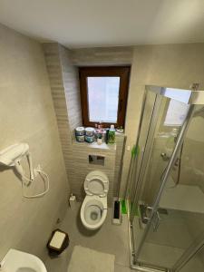 a bathroom with a toilet and a shower and a window at Maya 2 apartman sa dve spavace sobe in Vrnjačka Banja +9 photos