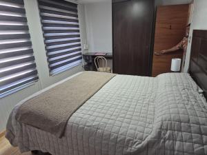 a bedroom with a large bed and a wooden door at Alojamiento Costanera in Laraquete
