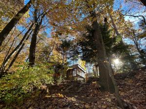 a house sitting on a hill in the woods at Bungalow Biberspur in Zieko