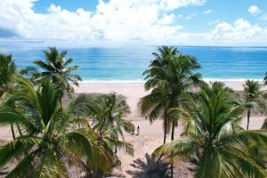 a view of a beach with palm trees and the ocean at Casa Queiroz in Maracaipe