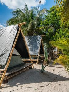 a couple of tents on a sandy beach at Camping, Glamping y Caravanas Dos Lunas in Celestún