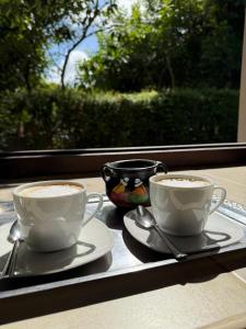 two cups of coffee sitting on a tray on a table at Hosteria Alto Alegre in Coronel Moldes