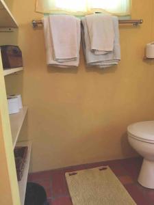 a bathroom with a toilet and towels hanging on a wall at Beautiful Cottage overlooking Sea in Goodwood +49 photos