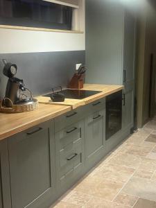 a kitchen with a sink and a counter top at L atelier du dormeur in Oberhoffen-sur-Moder