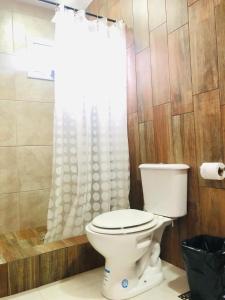 a bathroom with a toilet and a shower curtain at Departamentos Los Robles 1 in Comodoro Rivadavia