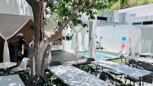 a man standing next to a tree next to a pool at Casa Niagara in San Antonio