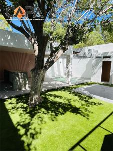 a tree in the middle of a yard with green grass at Casa Niagara in San Antonio