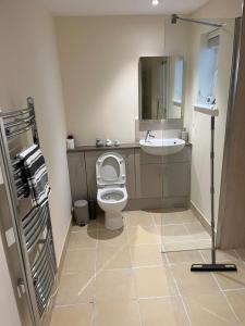 a bathroom with a toilet and a sink and a mirror at An Treth in Bude +3 photos