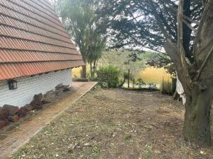 a yard next to a house with a tree at Welpen Chapa in Mar del Plata