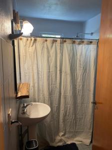 a bathroom with a shower curtain and a sink at Welpen Chapa in Mar del Plata +14 photos