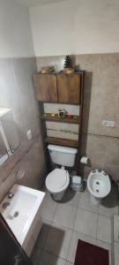 a bathroom with a toilet and a sink at Departamentos Ensueños in Trelew +23 photos