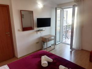 a room with a bed and a tv and a mirror at Guest House Garden in Budva