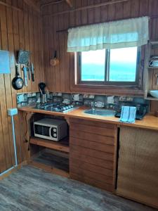 a kitchen with a counter with a microwave and a sink at Entre Espinos in Lo Chaparro