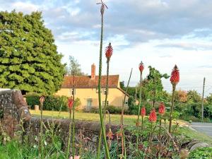a garden with red flowers in front of a house at Hill House in Colchester
