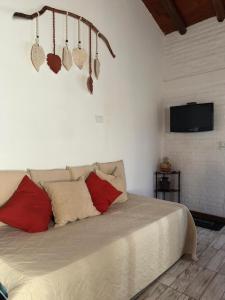 a bedroom with a bed with red pillows and a tv at Cabañas Vicentico in Mina Clavero