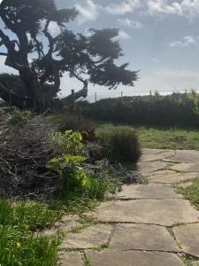 a stone path with a tree in the background at Bodega Bay Magical Ocean Front w/Amazing View! in Bodega Bay