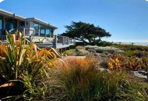 a house on the beach with a garden at Bodega Bay Magical Ocean Front w/Amazing View! in Bodega Bay