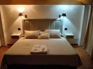 a bedroom with a large bed with two towels on it at Hotel Cristal in Viedma +51 photos