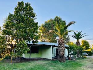 a house with a palm tree in the yard at Cabañas Nono Mario in San Rafael