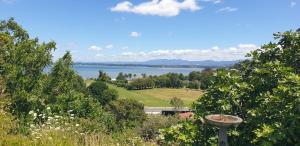 a view of a lake from a hill with trees at Lazy Daze at Athenree in Waihi Beach