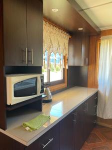 a kitchen with a counter top with a microwave at Cabañas Valles del Mañihuales in Villa Maniguales
