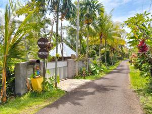 a road with palm trees on the side of it at Nostalgia Camping Home in Selemadeg