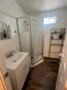a bathroom with a shower and a sink at Near Red Mountain park in Mesa