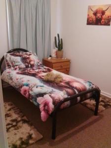 a bed with two cats sleeping on it in a room at Dream Catcher Air B&B in Berri